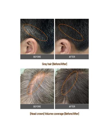 TS Hair Cover Stick Black 2.5g | Premium Hair Building Fibers for Instant Coverage | Worldwide Shipping - Buy Online on GoSupps.com