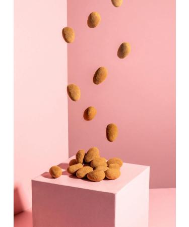 KoRo - Chocolate and cinnamon coated almonds 1kg - Chocolate and fluted pleasure of aromatic Californian almonds with real Be - Buy Online on GoSupps.com