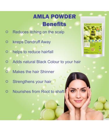 Neotea 100% Pure Amla Powder | Indian Gooseberry | Natural Source of Vitamin C | Superfood for Hair Skin & Immunity | Ayurvedic Herbal Supplement (100 GM(3.52 OZ)) - Buy Online on GoSupps.com