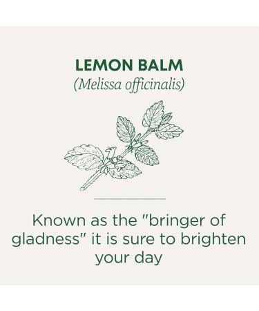 Traditional Medicinals - Organic Lemon Balm Herbal Tea (Pack of 6) - Soothing & Uplifting Daily Tea - 96 Tea Bags Total - Buy Online on GoSupps.com