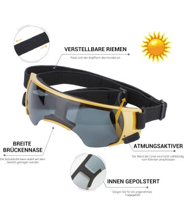 Petleso UV Protection Glasses for Small Dogs - Wind & Eye Protection Sunglasses for Motorcycle & Dog Bike Basket - Buy Online on GoSupps.com