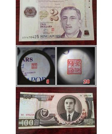 Magnifying Glass 8 Times with Folding Magnifying Glass Silver Dollar Sealing Tool with Keychain for Reading Crafts Repair Magnifier Lofty Ambition - Buy Online on GoSupps.com