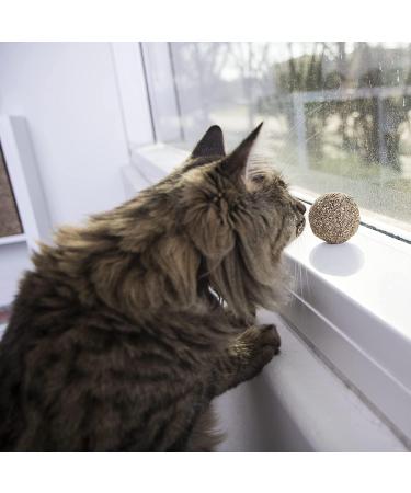Replacement Ball for Avocado Catnip Ball - Premium Gall Fruit Style | International Shipping Available - Buy Online on GoSupps.com
