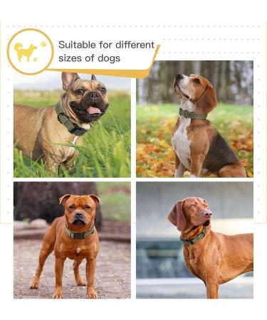 HEELE Reflective Neoprene Padded Dog Collar - Adjustable for Medium Dogs - Army Green - Size M (34-52cm) - Buy Online on GoSupps.com