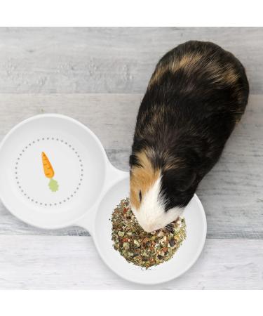 Navaris Double Ceramic Food Bowl for Rabbits Guinea Pigs - Rabbit Water Dish - Carrot and Grass Design White - Buy Online on GoSupps.com