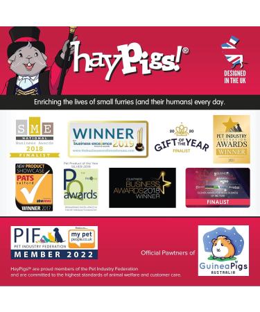 HAYPIGS Pigalicious 300g Pea Flakes: Guinea Pig, Hamster, Rat & Rabbit Treats | Boredom Breaker | Guinea Pig Gifts Jar - Buy Online on GoSupps.com