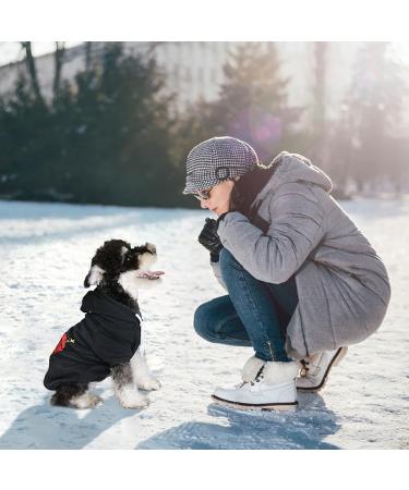 Fashion Dog Hoodie for Medium and Small Dogs | Cute Embroidered Patterns | All We Need Is Love - Buy Online on GoSupps.com
