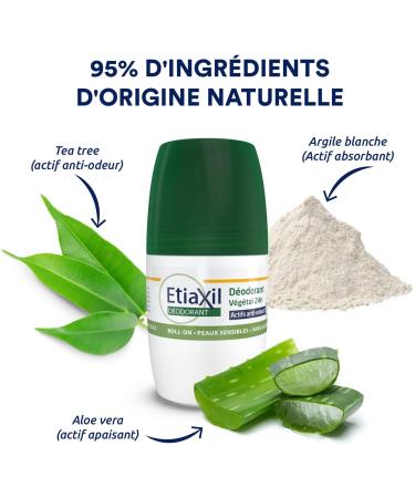 ETIAXIL - Bamboo Freshness Plant Deodorant - 24 H - Armpits - Suitable for sensitive skin - Roll-on - 50 ml - Pack of 2 - Buy Online on GoSupps.com