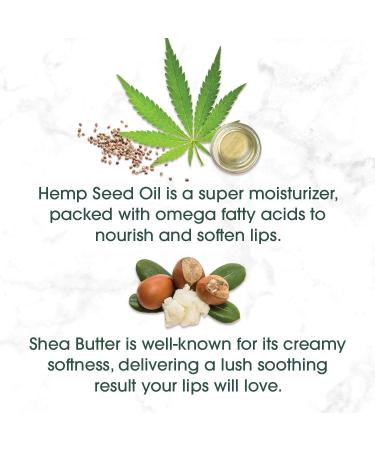 Blistex Hemp & Acai Lip Moisturizer 2 Pack - Raspberry Ginger & Cherry Cream - 0.15 oz Each - Buy Online on GoSupps.com