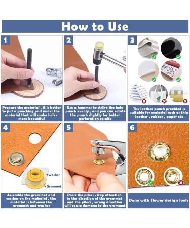 1203Pcs Grommet Tool Kit with Eyelet Pliers  PAXCOO 1/4 Inch Fabric Grommet Kit with Fabric Eyelets Grommets  Washers and Hole Punch Grommet Hand Press kit for Fabric/Leather/Belt/Shoes/Cloths 1203pcs 1/4 Inch - Buy Online on GoSupps.com