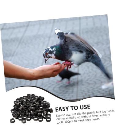 Angoily 300 Pcs Pigeon Anklet Duck Oyster Shell for Pigeon Identification Ring Network Management Bayonet 1.3X1.3CMx3pcs Blackx3pcs - Buy Online on GoSupps.com