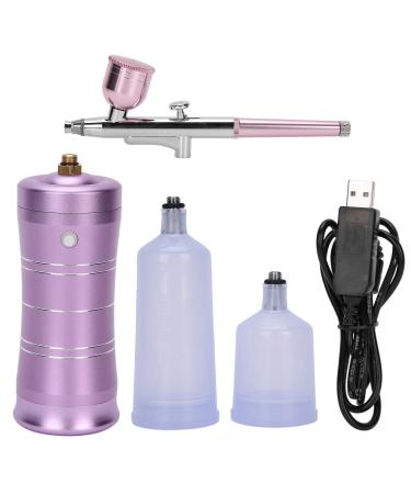 Professional Oxygen Facial Machine - Water Oxygen Sprayer - Portable Handheld Face Skin Moisturizing Nano Spray Airbrush for Skin Rejuvenation(Small straight Fuchsia)