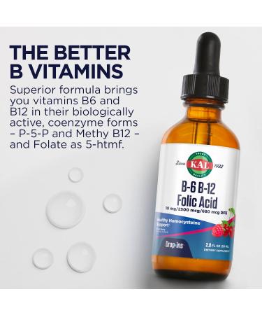 KAL Vitamin B6 B12 Folic Acid DropIns Liquid Supplement - Heart Health Support, Energy Boost - Methyl B12, Folate - Natural Berry Flavor - 59 Servings - 2oz - Buy Online on GoSupps.com