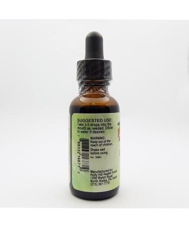 Holly Hill Health Foods Peppermint Spirits (with Chlorophyll) 1 Ounce - Buy Online on GoSupps.com