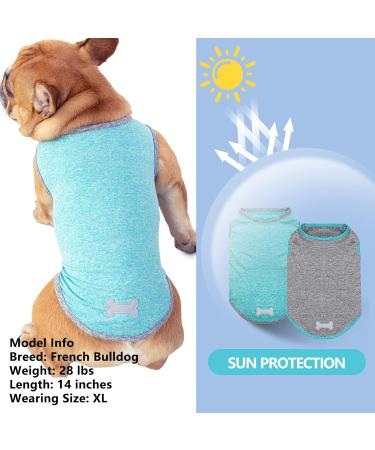 KYEESE 2 Pack Sun Protection Dog Shirts - Reflective Label Tank Top for Small Medium Dogs - Grey+Blue - Size 18 - Buy Online on GoSupps.com