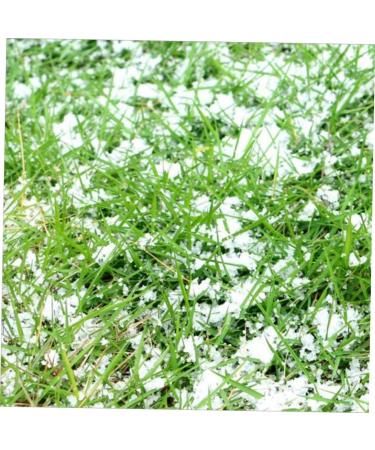 STOBAZA Fake White Snow Christmas Decoration Fake Snow Pearlescent Lip Gloss - Buy Online on GoSupps.com