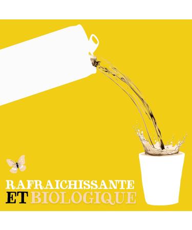 CLIPPER - Organic Refreshing Drink - Fusion Lemon Ginger Rooibos - No added sugar - 25cl x 12 - Buy Online on GoSupps.com