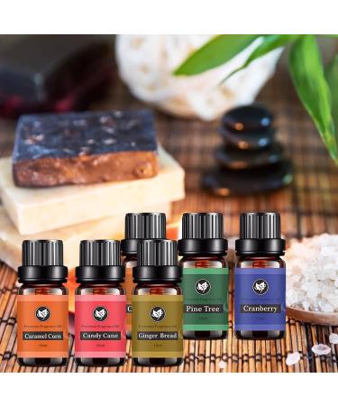 Christmas Premium Grade Fragrance Oils Set Oils Set for Home Diffuser Christmas Set of 6 Premium Fragrance Oils Caramel Corn Candy Cane Ginger Bread Cinnamon Pine Tree Cranberry-10ML Essential Oil*6pcs - Buy Online on GoSupps.com