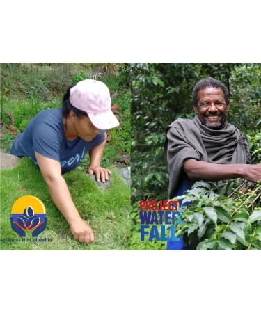 COLOMBIAN Speciality Coffee | Don Jose | The Perfect Espresso | Dark Roast | Single Origin Supremo Arabica Coffee Beans (1kg Resealable Bag) - Buy Online on GoSupps.com