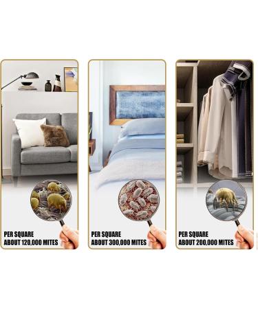 24Pcs Mite Removal Bag Mite Removal Agent Organic Material Oil Plants for Household Bed Eucalyptus Wipes - Buy Online on GoSupps.com