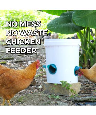 Whimsii Automatic Chicken Food Dispenser - No Waste 6 Connections + Hole Saw for Poultry Ducks Geese & Quail - Buy Online on GoSupps.com