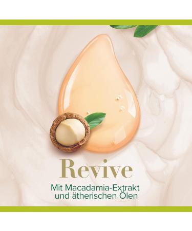  Palmolive Palmolive Wellness Revive Body Wash 250 ml with Macadamia Oil and Essential Oils 6 Pack - Buy Online on GoSupps.com