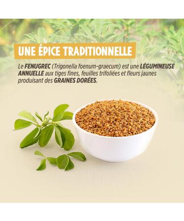 Graine de Fenugrec 500 g 500 g (Lot de 1) - Buy Online on GoSupps.com