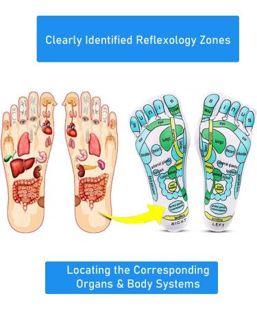 Acupressure Reflexology Socks - Foot Massage Socks with Separate Toes, Cotton Material, English/Spanish Charts, Rod Included - Buy Online on GoSupps.com