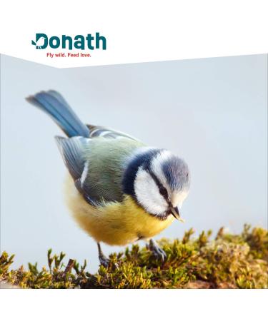 Donath Hemp Seeds 2 kg - Buy Online on GoSupps.com