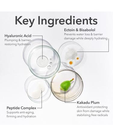 Dr Dennis Gross DermInfusions Fill + Repair Eye Cream: Hydrating & Brightening Treatment for Dark Circles Fine Lines & Wrinkles Firms & Smooths 360 Eye Area 0.5 Oz - Buy Online on GoSupps.com