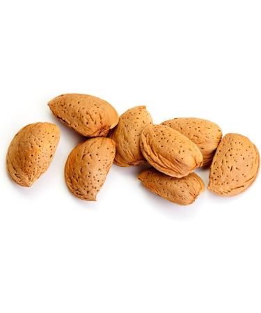  A'Ntrita A'Ntrita - Organic Almonds in Shell 5 kg - 100% Italian - Produced in Sicily - Buy Online on GoSupps.com