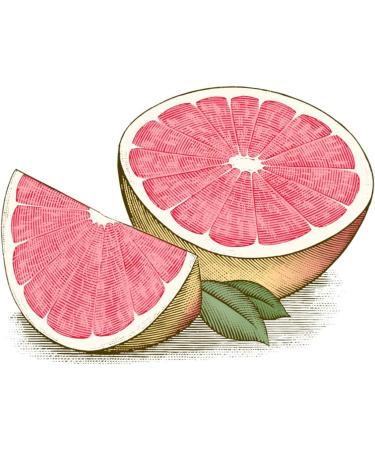 Burt s Bees 100% Natural Moisturizing Lip Balm Pink Grapefruit - 1 Tubes - Buy Online on GoSupps.com