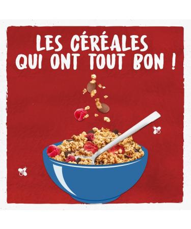 BJORG - Croustillant Chocolat Noir et Fruits Rouges - C r ales Compl tes - Riche En Fibres - 450G 1.0 unit 450 g (Lot de 1) Chocolat Noir & Fruits Rouges - 450 g - Buy Online on GoSupps.com