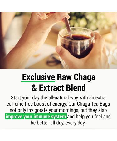 Sayan Chaga Supplements - Raw Chaga Powder (1lb) Chaga Mushroom Capsules (90 Capsules) Chaga Tea Bags (20 Bags) - Buy Online on GoSupps.com