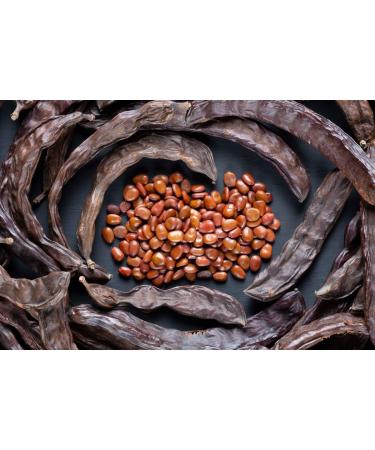  Tazarin LTD 100g Whole Carob Pods | Dried Carob Pods | Whole Carob Intense Flavour & Taste - 100% Natural Pure & No Additives | TazarinLtd - Buy Online on GoSupps.com