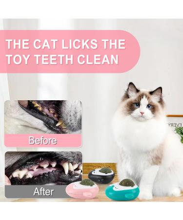 Premium Catnip Balls for Cats - 3pcs Edible Toys with Storage Lids & 360 Rotating Wall Roller - Buy Online on GoSupps.com