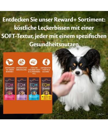 Wellness Core Reward+ Tasting Package - 4 Flavors of Cereal-Free Dog Treats - 680g Test Pack | International Shipping Available - Buy Online on GoSupps.com