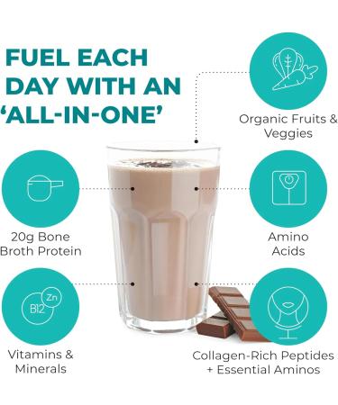 Reignite Wellness by JJ Virgin | Chocolate Paleo-Inspired All-in-One Shake | Gluten Free + Dairy Free Protein Powder | Contains 20G of Beef Protein with Vitamins, Minerals, Amino Acids | 30 Servings Chocolate 2.4 Pound (Pac  - Buy Online on GoSupps.com