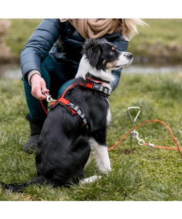 Nobby Inspling - Premium Quality Pet Supplies | Fast International Shipping - Buy Online on GoSupps.com