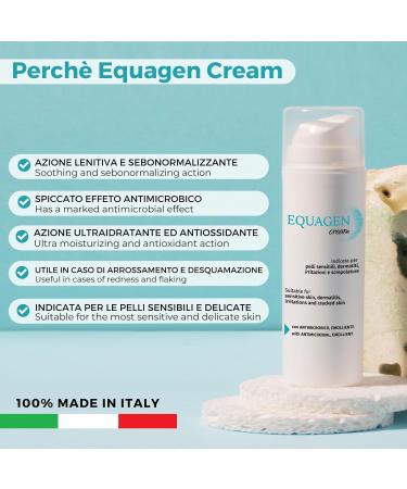 Equagen Gentle Sebum-normalizing Rebalancing Face Cream 99% Ingredients of Natural Origin - Buy Online on GoSupps.com