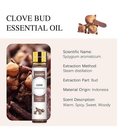 Aoruilia 10ml Clove Essential Oil - Natural Premium Clove Bud Oil Aromatherapy Essential Oils for Diffuser for Home Teeth Hair Care Perfume Soaps & Candles Making Clove 10 ml (Pack of 1) - Buy Online on GoSupps.com