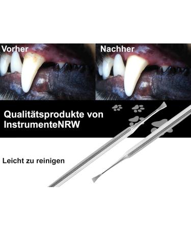 Premium Stainless Steel Dog Denture & Tartar Remover - 2-Sided Tooth Cleaner Scratcher for Pets - Buy Online on GoSupps.com