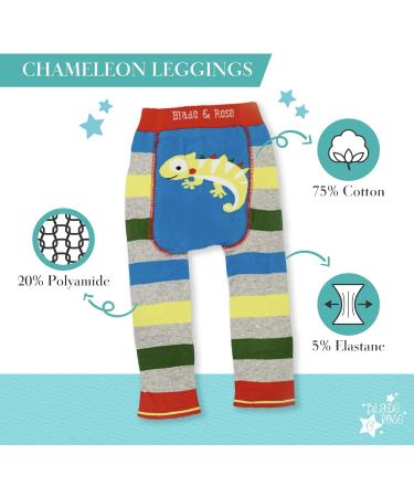Blade & Rose Chameleon Leggings | Multicoloured Stripes | Toddler & Baby Knit Leggings - Buy Online on GoSupps.com