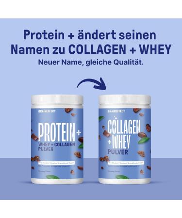 BRAINEFFECT PROTEIN+ | Sugar-Free Whey Protein Powder | Regeneration Boost | Creamy Cocoa Flavor | 630g - Shop Internationally - Buy Online on GoSupps.com