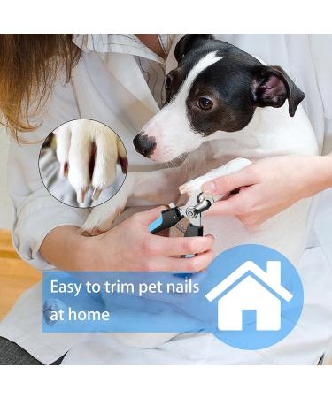 Quick Safety Sensor Pet Dog Nail Trimmers & Clipper for Large & Medium Dogs - Professional Toenail Clippers with Nail File - Buy Online on GoSupps.com