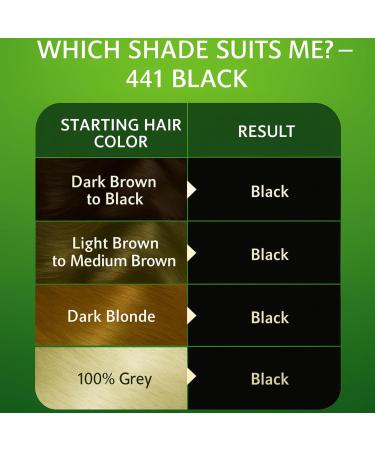 BIONDA Brilliant Permanent Hair Dye & Coloration 441 Black 100 ml 100 gray hair coverage with argan oil Nourishing oil formula intense color shine Roots & full lengths - Buy Online on GoSupps.com