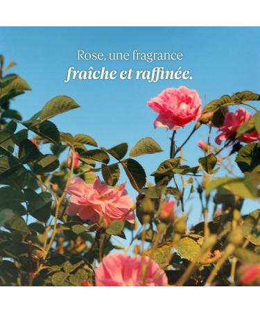 L'OCCITANE Eau de Toilette: Cherry Blossom Rose Neroli & Orchidee Citrus Verbena Verbena Fragrance - Buy Online on GoSupps.com