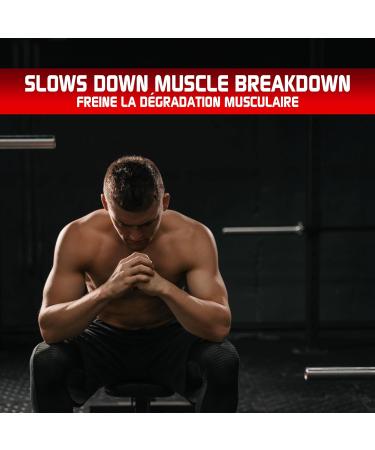 Predator Labs - Endless BCAA 6g - boisson de r cup ration musculaire aux lectrolytes avec des acides amin s Enzymes digestives Purificateur pour le foie antioxydants L-Carnitine L-Glutamine Complexe pour la sant des articulations Renforcie le syst me immu - Buy Online on GoSupps.com