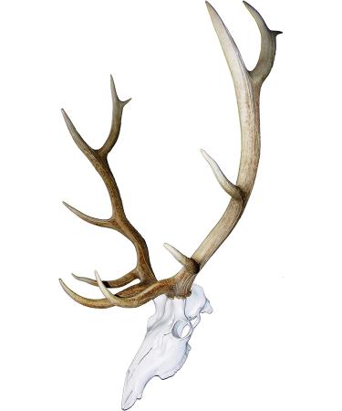 Mountain Mike's Reproductions Skull Master Universal White - Premium Deer Skull Mount - Buy Online on GoSupps.com
