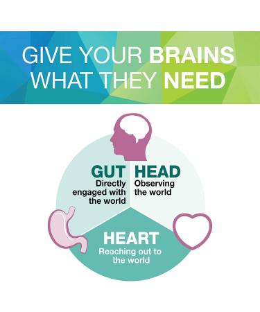 Natural Factors 3 Brains Serene Mind - 120 Vegetarian Capsules for Calming Support - Buy Online on GoSupps.com